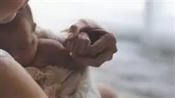 ##IMAGE##