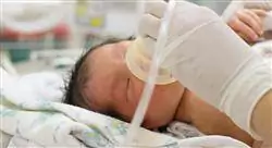 diplomado online cuidados en neumología neonatal para enfermería