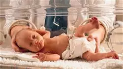 ##IMAGE##