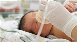 posgrado cuidados digestivos y metabólicos neonatales para enfermería