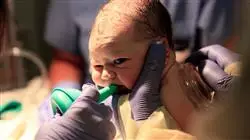 ##IMAGE##