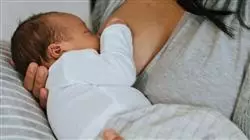 ##IMAGE##