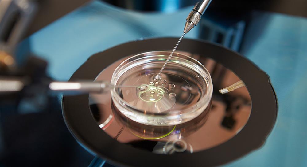 master enfermería en el servicio de ginecología y de reproducción asistida