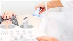 ##IMAGE##