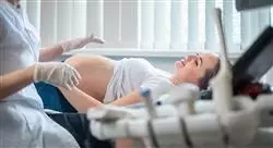 diplomado online la embarazada con problemas del primer trimestre: hemorragias y malformaciones para enfermería