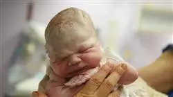 ##IMAGE##