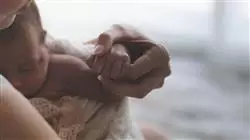 ##IMAGE##