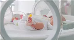 cursos atención al neonato sano y neonato de riesgo para matronas