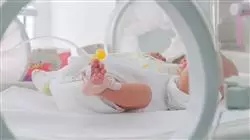 ##IMAGE##