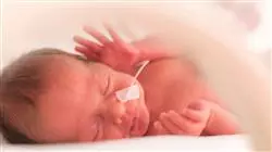 ##IMAGE##