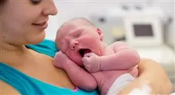 experto atención al neonato sano y neonato de riesgo para matronas
