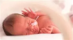 especialización atención al neonato sano y neonato de riesgo para matronas