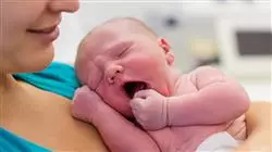 ##IMAGE##