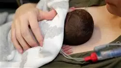 ##IMAGE##