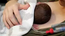 ##IMAGE##