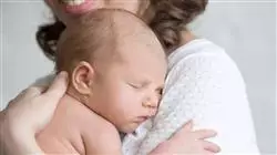 ##IMAGE##