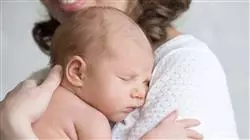 cursos competencias transversales puerperio psicologia parentalidad sexualidad matronas