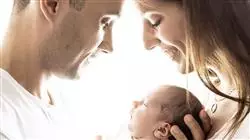 especializacion online competencias transversales puerperio psicologia parentalidad sexualidad matronas