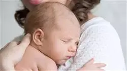 ##IMAGE##