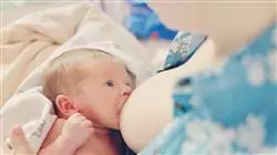 ##IMAGE##