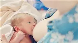 ##IMAGE##