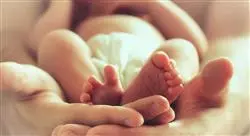 cursos principales patologías y desviaciones de la normalidad del parto y el puerperio para matronas