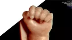 ##IMAGE##