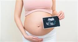 diplomado la embarazada con problemas del primer trimestre hemorragias y malformaciones para matronas