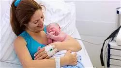##IMAGE##