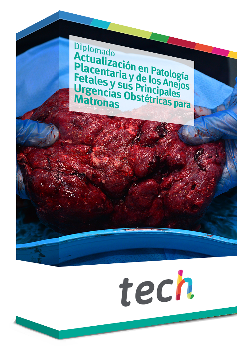 courseInfo