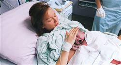 curso situaciones especiales del recién nacido y la lactancia materna para matronas