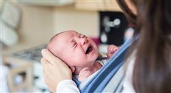 diplomado situaciones especiales del recién nacido y la lactancia materna para matronas