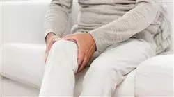 ##IMAGE##