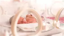 ##IMAGE##