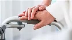 ##IMAGE##