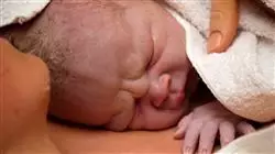 maestria online enfermeria pediatrica