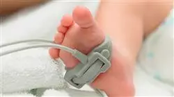 ##IMAGE##