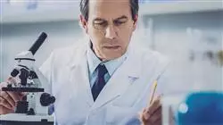 ##IMAGE##