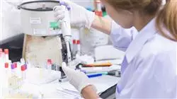##IMAGE##