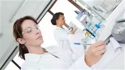 ##IMAGE##