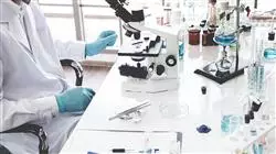 cursos nutrigenomica metabolomica epigenetica enfermeria
