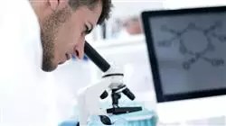 ##IMAGE##
