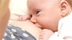 ##IMAGE##