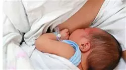 ##IMAGE##