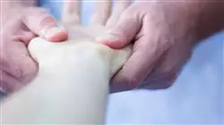 ##IMAGE##