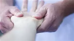 ##IMAGE##