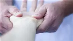 ##IMAGE##