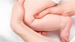 ##IMAGE##