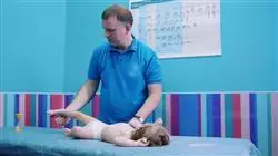 ##IMAGE##