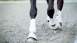 ##IMAGE##